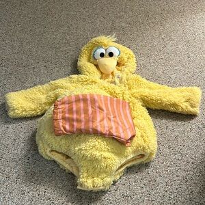 Pottery barn Big Bird costume